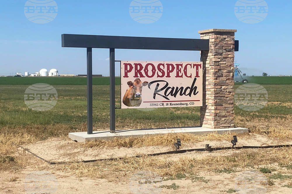 Colorado Dairy Deaths