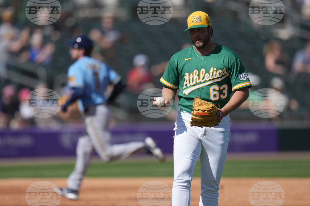 Brewers Athletics Spring Baseball