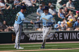 Brewers Athletics Spring Baseball