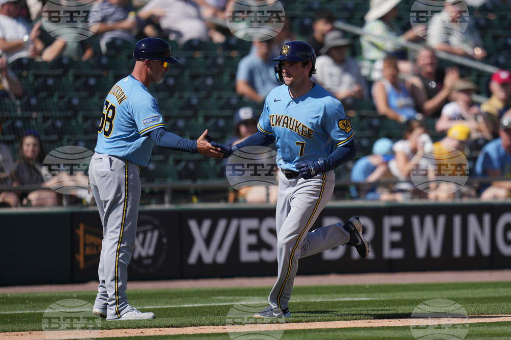 Brewers Athletics Spring Baseball