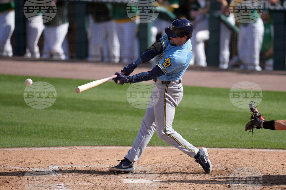 Brewers Athletics Spring Baseball