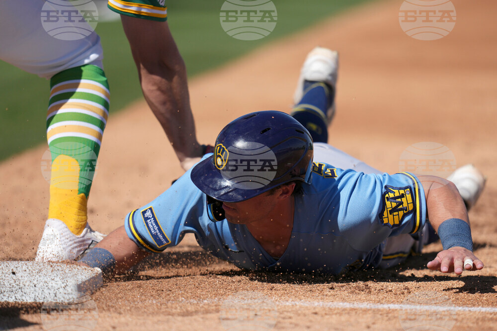 Brewers Athletics Spring Baseball