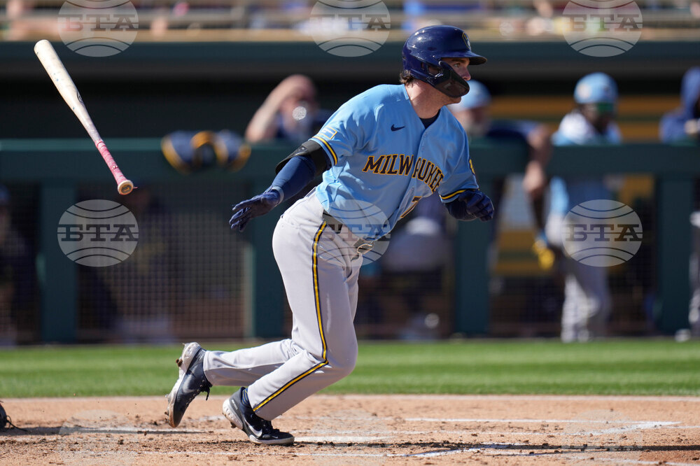 Brewers Athletics Spring Baseball