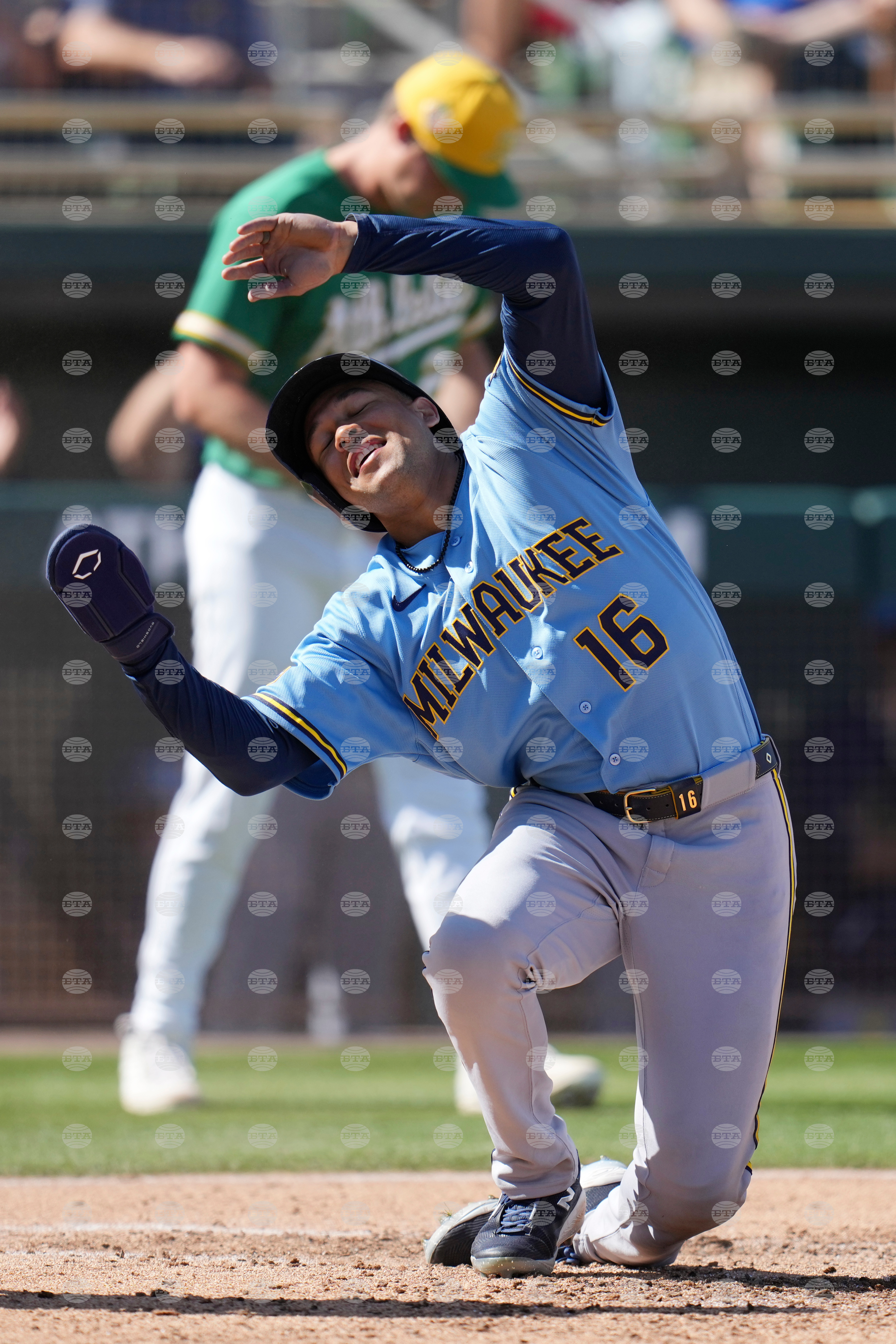 Brewers Athletics Spring Baseball