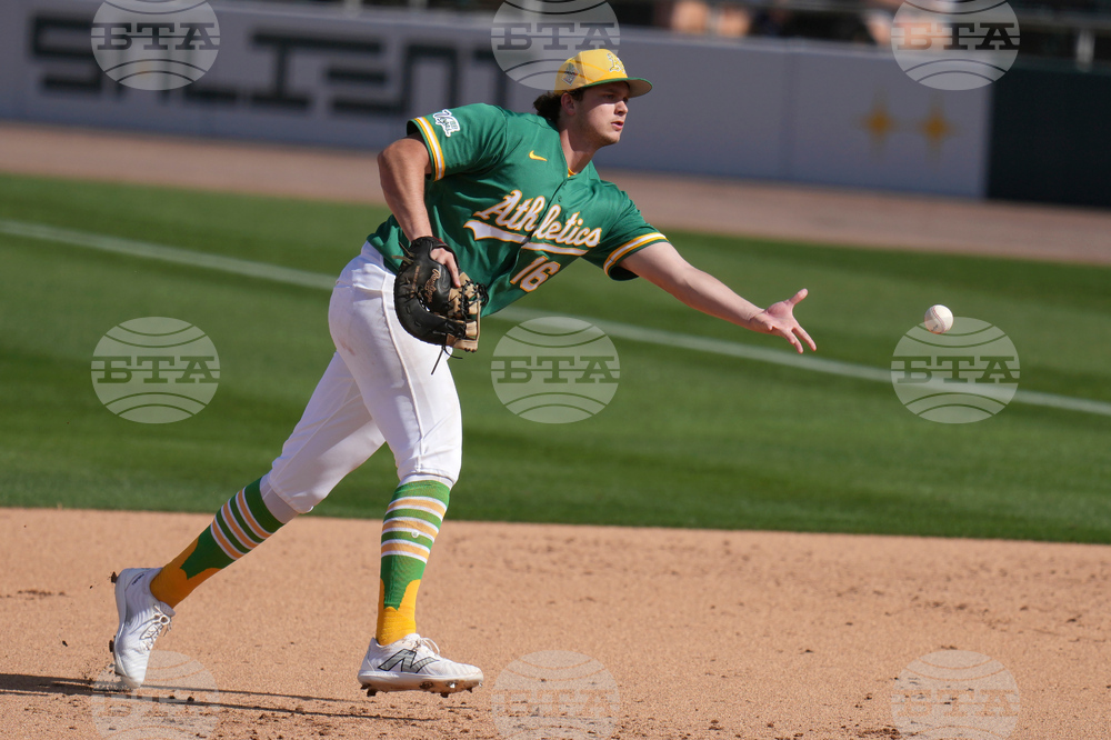 Brewers Athletics Spring Baseball