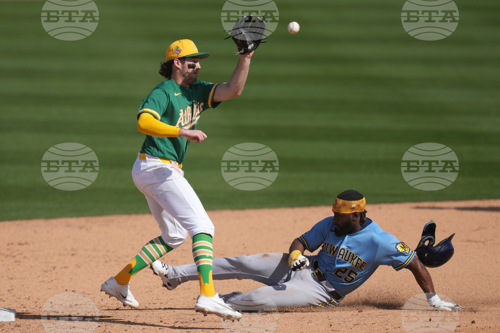 Brewers Athletics Spring Baseball