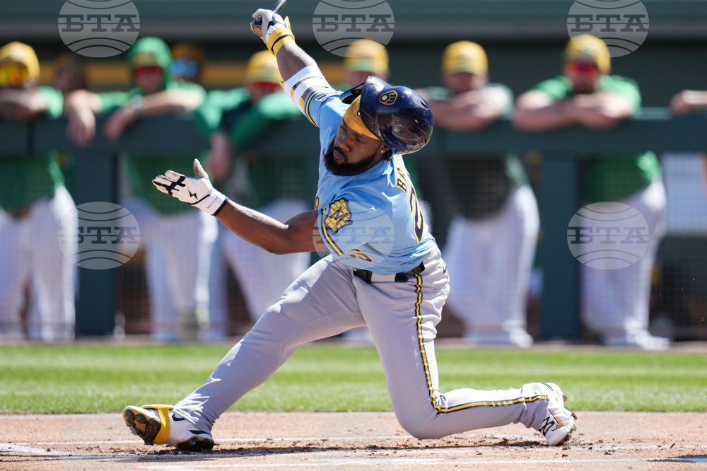 Brewers Athletics Spring Baseball