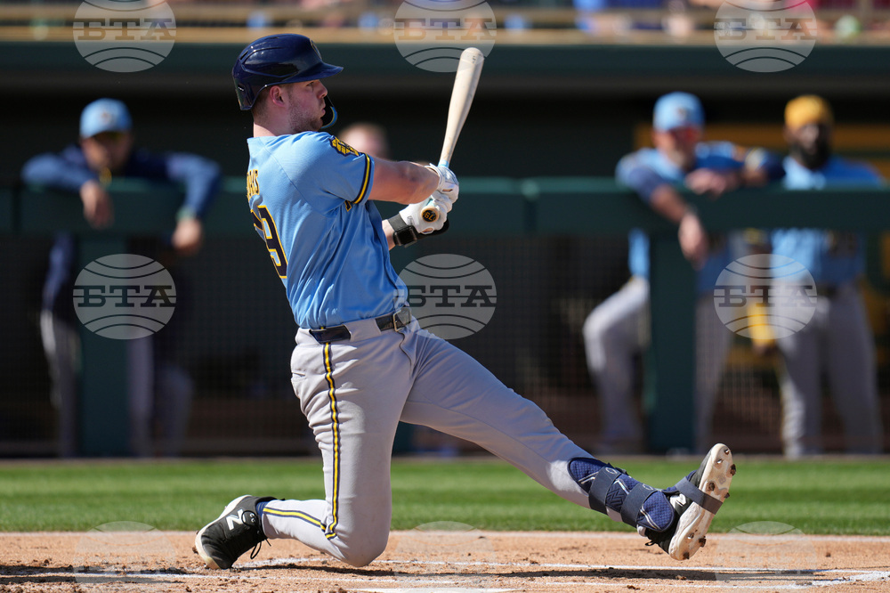 Brewers Athletics Spring Baseball
