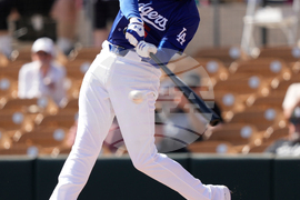 Guardians Dodgers Spring Baseball