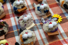 Добрич - изложение - Снимка: Александра Антонова