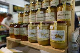 Добрич - изложение - Снимка: Александра Антонова