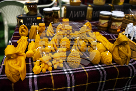 Добрич - изложение - Снимка: Александра Антонова