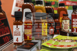 Добрич - изложение - Снимка: Александра Антонова