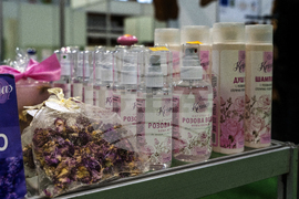 Добрич - изложение - Снимка: Александра Антонова