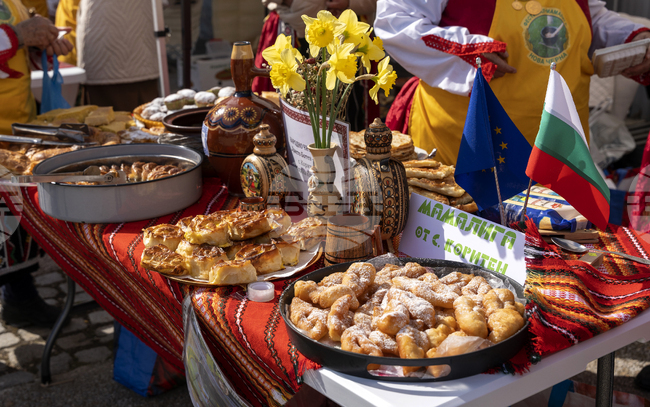 Добрич - изложение