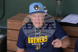 Brewers Athletics Spring Baseball