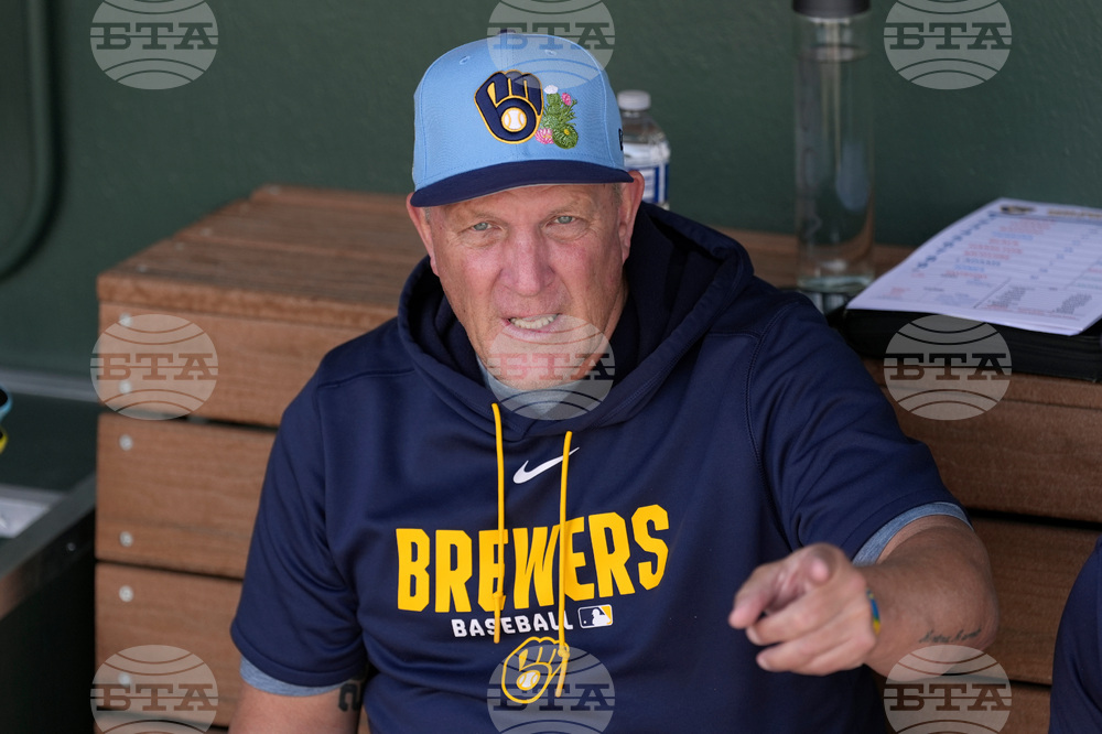 Brewers Athletics Spring Baseball