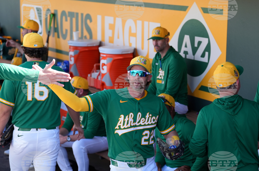 Brewers Athletics Spring Baseball