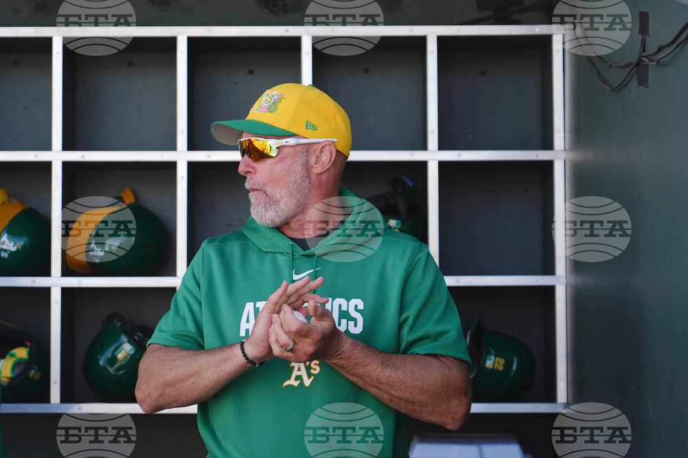 Brewers Athletics Spring Baseball