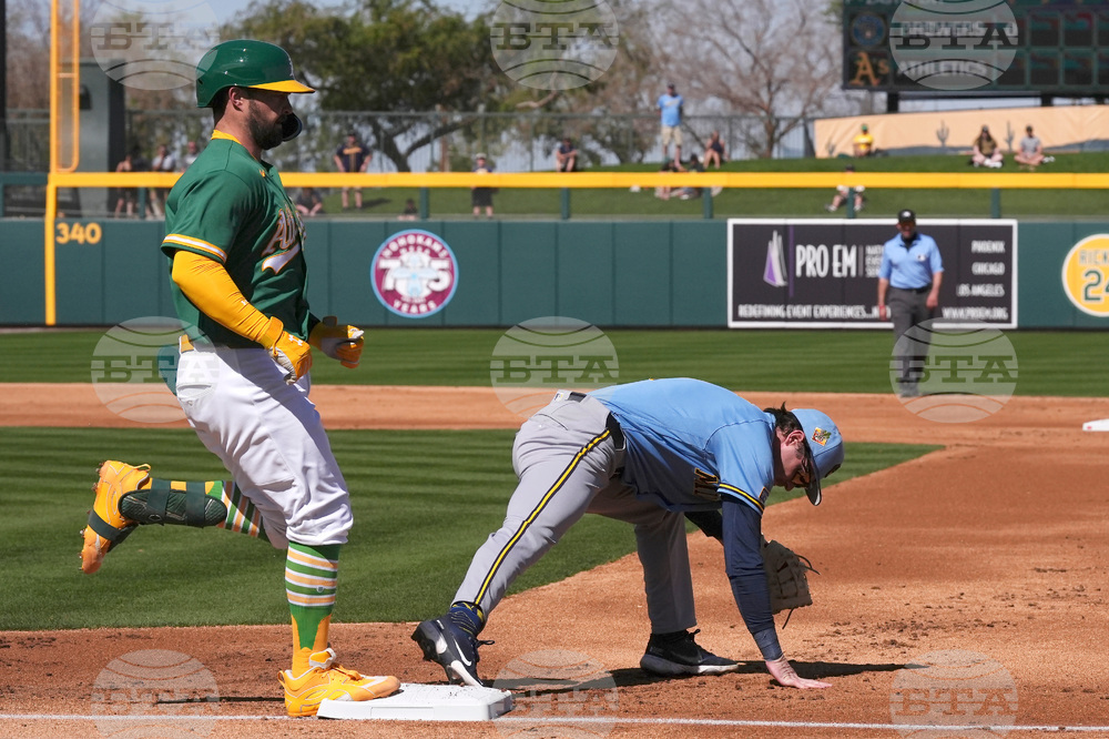 Brewers Athletics Spring Baseball