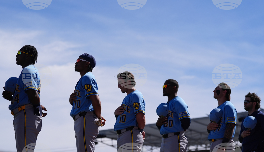 Brewers Athletics Spring Baseball