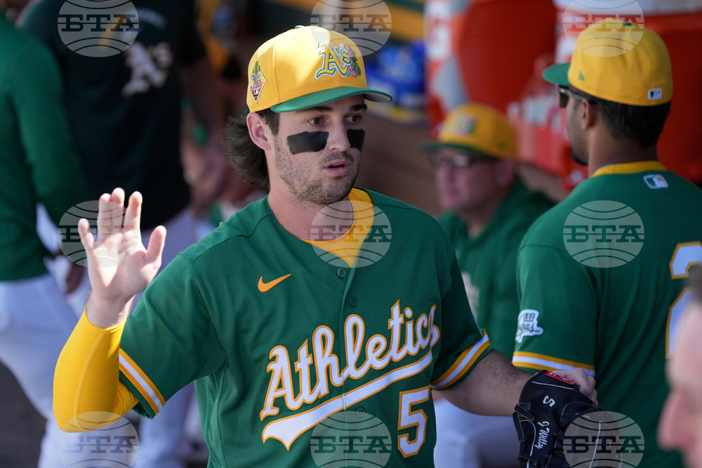 Brewers Athletics Spring Baseball