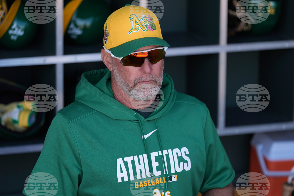 Brewers Athletics Spring Baseball