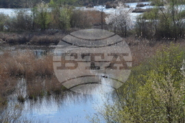 Кърджали  - акция по почистването на местообитанието на чапловата колония