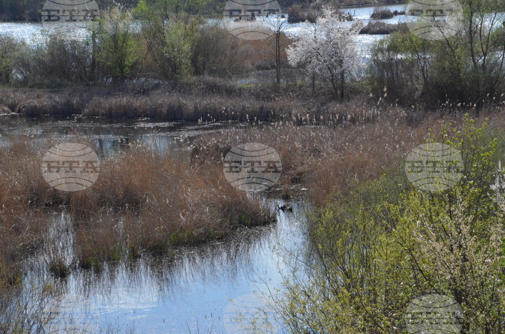 Кърджали  - акция по почистването на местообитанието на чапловата колония