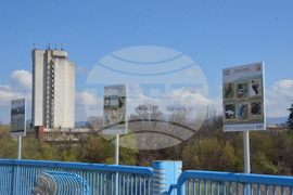 Кърджали  - акция по почистването на местообитанието на чапловата колония