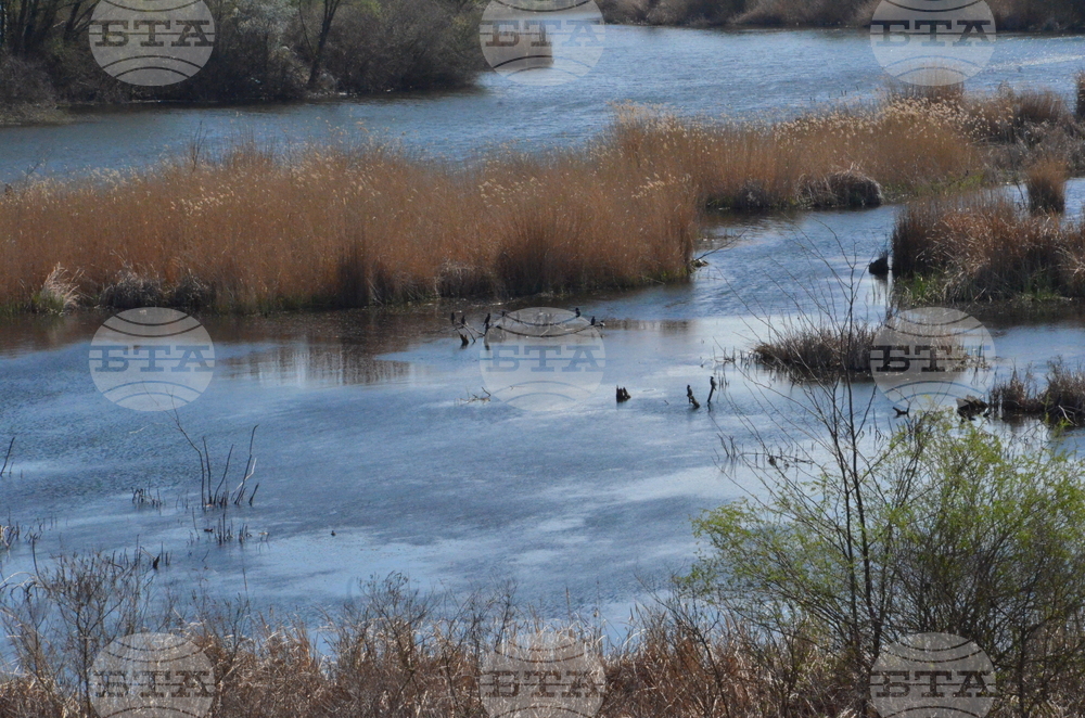 Кърджали  - акция по почистването на местообитанието на чапловата колония