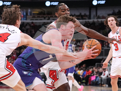 Hornets Bulls Basketball