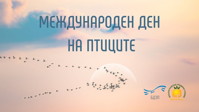Наблюдение на хищните птици и артзанимания ще бъдат организирани в Зоологическата градина в София тази събота