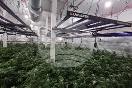 Нова Загора - нарколаборатория