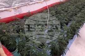 Нова Загора - нарколаборатория