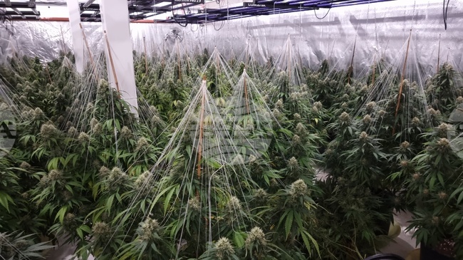 Нова Загора - нарколаборатория