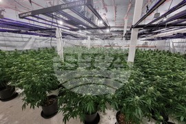 Нова Загора - нарколаборатория