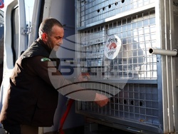 Летище „Васил Левски“ София - диви животни - пристигане