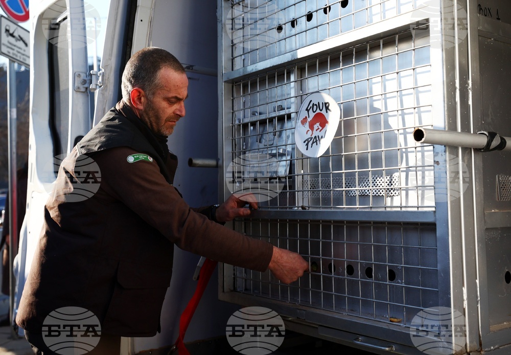 Летище „Васил Левски“ София - диви животни - пристигане