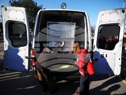 Летище „Васил Левски“ София - диви животни - пристигане