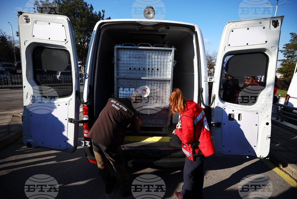 Летище „Васил Левски“ София - диви животни - пристигане