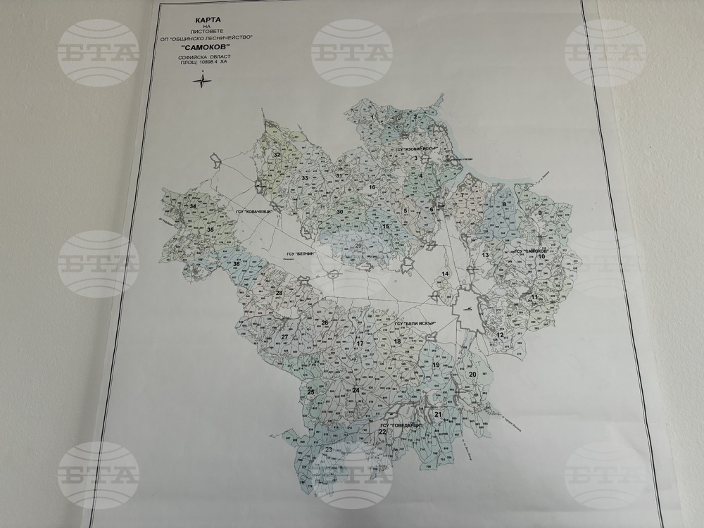 Самоков - Общинско лесничейство „Самоков“