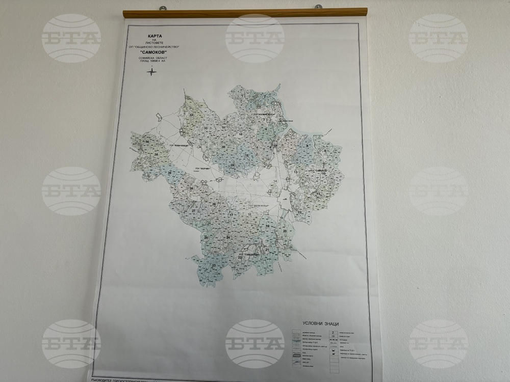 Самоков - Общинско лесничейство „Самоков“