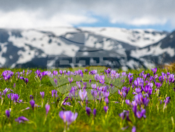 Българска национална телевизия започва излъчването на документалната поредица „Образи от България“. Снимка: „Травъл ТВ“