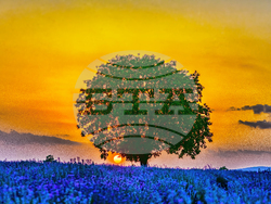 Българска национална телевизия започва излъчването на документалната поредица „Образи от България“. Снимка: „Травъл ТВ“