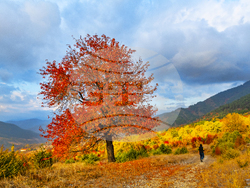 Българска национална телевизия започва излъчването на документалната поредица „Образи от България“. Снимка: „Травъл ТВ“