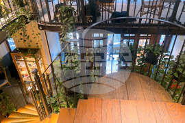 Турция - кафе „Миноя Пера“ - книги - Георги Господинов