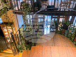 Турция - кафе „Миноя Пера“ - книги - Георги Господинов