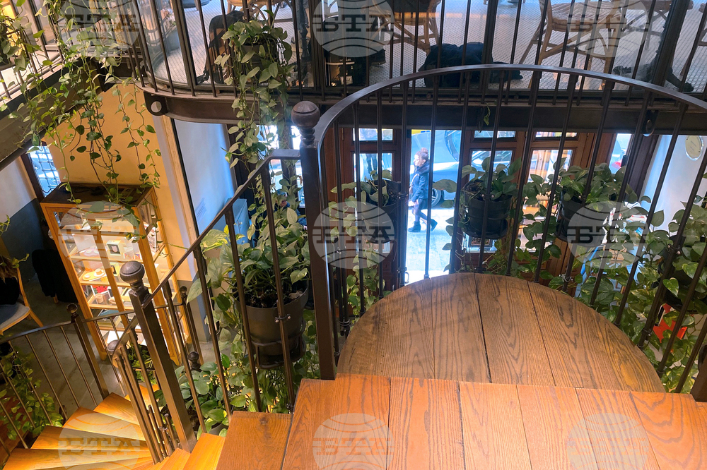 Турция - кафе „Миноя Пера“ - книги - Георги Господинов