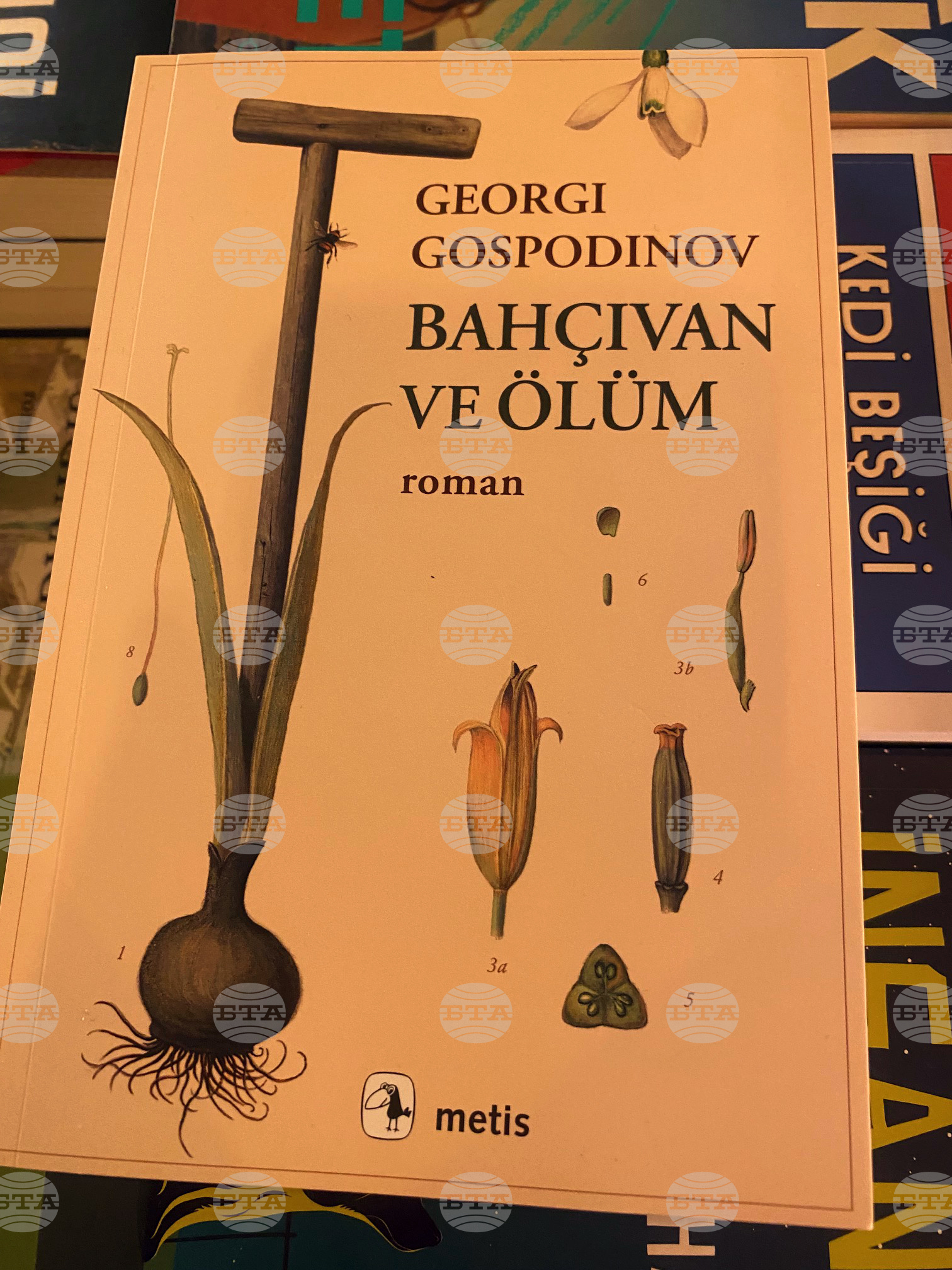 Турция - кафе „Миноя Пера“ - книги - Георги Господинов